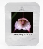 9 Types Perennial Dracula Simia Monkey Face Flower Seeds, 1 Professional Pack, 100 Seeds / Pack, Rare Orchid Seeds #NF566