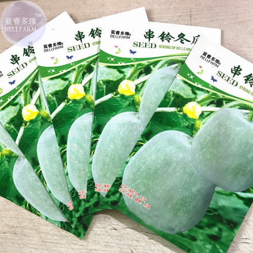BELLFARM Wax Gourd Small Round White Gourd Vegetable Seeds, 5 packs, 10 seeds/pack, vigorous prolific fruits