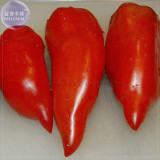 Jersey Devil Tomato Seeds, 100 Seeds, Professional Pack, long red sweet tomatoes E4073