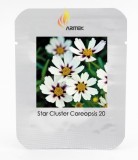Heirloom Star Cluster Perennial White Purple Coreopsis Flower Seeds, Professional Pack, 20 Seeds / Pack, Mound-shaped Flowers