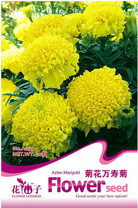 1 Original Pack, 30 Seeds / Pack, Marigold African Crackerjack Yellow Seeds #A097
