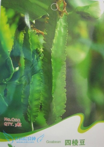 Winged Bean Seeds, Original Pack, 3 seeds / pack, Chinese Asparagus Pea Vegetables #C122
