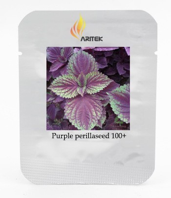 Heirloom Purple Perillaseeds, Professional Pack, 100 Seeds / Pack, Organic Refreshing Herbs E3381