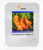 Heirloom Fresh Orange Peter Penis Chili Pepper Organic Seeds, Professional Pack, 10 Seeds / Pack, Edible Interesting Landscape