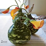 Heirloom Speckled Swan Gourd Lagenaria Siceraria Seeds, Professional Pack, 10 Seeds / Pack E3334