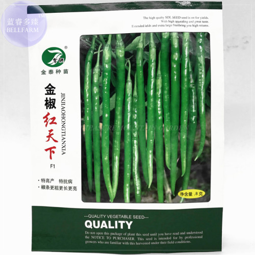 BELLFARM Line Chili Pepper 'Jintai' Green Vegetables Seeds, 8 grams seeds, Original pack, high-yield hot chili tasty BD105H