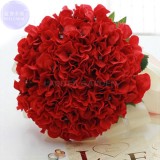 Rare Red Hydrangea Mother Seeds, Professional Pack, 15 seeds, big blooms ball flowers E4067