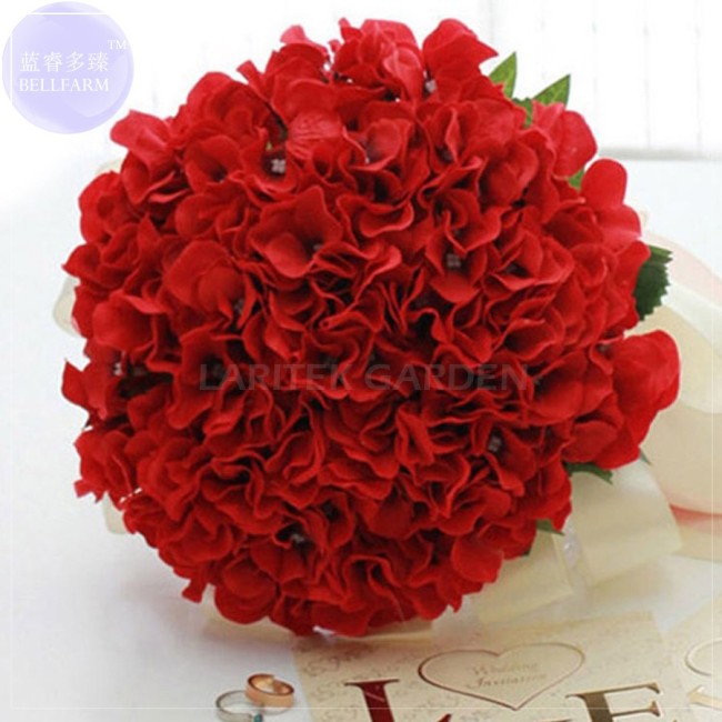 Rare Red Hydrangea Mother Seeds, Professional Pack, 15 seeds, big blooms ball flowers E4067