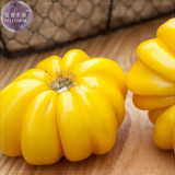 BELLFARM Tomato Mixed Giant Vegetable Seeds, 100 seeds, white red yellow pink rainbow black gray organic tomato