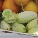 Practical NEW Seeds Cucumber Bilyy Anhel-White Angel Organic Vegetable Seeds, Professional Pack, 20 Seeds / Pack #NF938