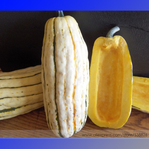 Delicata Little Sweet Squash Organic Seeds, Professional Pack, 10 Seeds / Pack, Tasty Pumpkin Vegetables #NF710