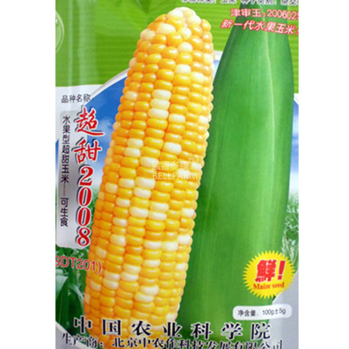 BELLFARM Corn 'Super Sweet 2008' Fruit Corn Seeds, 100 grams, original pack, new sugar corn juicy tasty sweet can be eaten raw