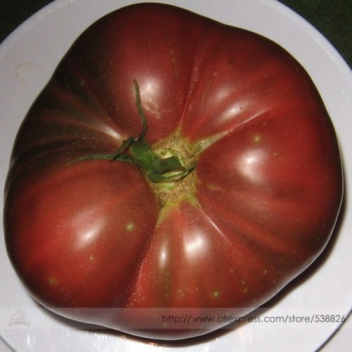 Organic Heirloom Brandywine True Black Lycopersicon lycopersicum Tomato Seeds, Professional Pack, 100 Seeds / Pack, Sweet Tasty
