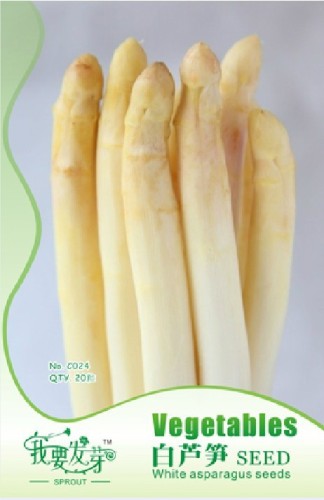 1 Original Packs, 20 seeds /pack, White Asparagus Seeds, Spring Vegetables Sparrowgrass #NF014