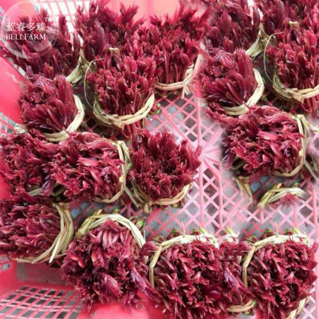 BELLFARM Cedrela Sinensis Chinese Toon Organic Vegetable Seeds, 50 seeds, professional pack, tasty organic toona
