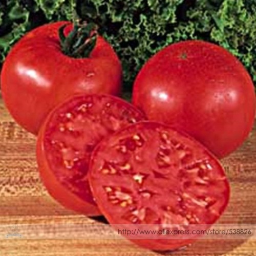Rare Burpee's Big Boy Tomato Hybrid Seeds, Professional Pack, 100 Seeds / Pack, Juicy Sweet Edible Fruit #TS018