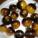 Very Rare Bumble Bee Heirloom Tomato Seeds, Professional Pack, 100 Seeds / Pack, Low Acid Organic Tomato 100% Tree Seeds #NF571