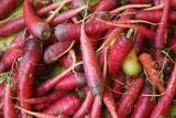 BELLFARM Carrot Heirloom Blood Red Vegetables Seeds, 100 Seeds, a lovely organic tasty vegetables E4244