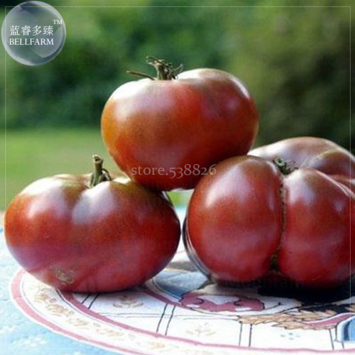 BELLFARM 'Eluosi' Cherokee Purple Giant Tomato, 100 seeds tasty edible vegetables high yield fruits for home garden