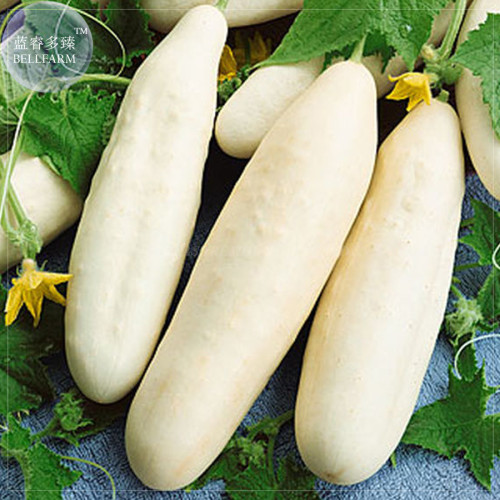 BELLFARM Cucumber Long White Wonder Seeds, 10 Seeds, Professional Pack, sweet juicy thin skinned vegetables TS106