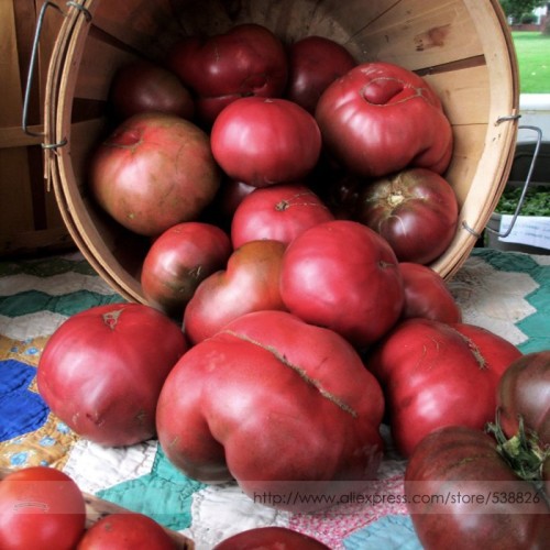 Organic Heirloom Cherokee Purple Solanum Llycopersium Tomato Seeds, Professional Pack, 100 Seeds / Pack. Tasty Sweet #NF959