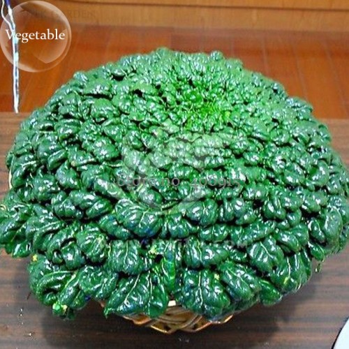 Wuta-tsai Organic Vegetables, 40 seeds, brassica campestris Chinensis Green vegetables Seed E3875