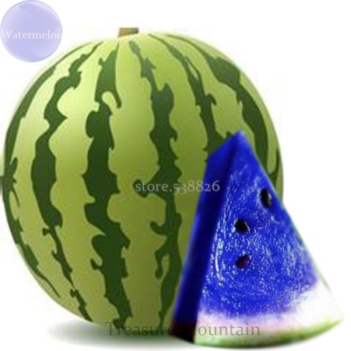 Rare Blue Watermelon Sweet Fruits, 20 Seeds, juicy hybrid fruits TS219T