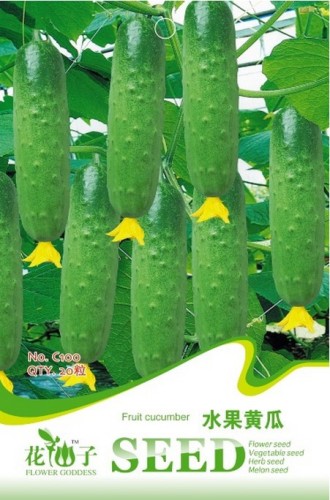 10 Original Packs, 20 seeds / pack, Fruit Cucumbers, Eat it raw, crisp & delicious, Organic Vegetables