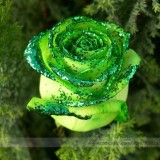 Heirloom Rare Green Golden Rose Flower Seeds, Professional Pack, 50 Seeds / Pack, Light Fragrant Beautiful Flower #NF639