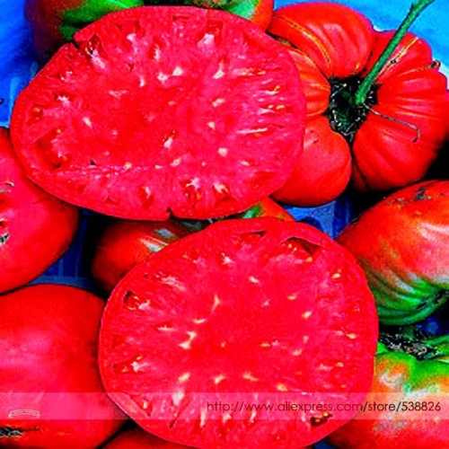 Germany Rose Red Corrugated Sweet Big Tomato Hybrid Seeds, Professional Pack, 100 Seeds / Pack, Juicy Fruit #TS010