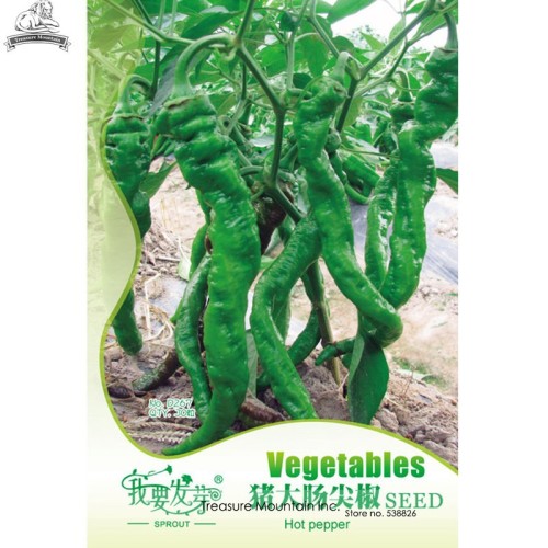 'Pig Intestines' Long Crooked Hot Chili Pepper Vegetable Seeds, Original Pack, 30 Seeds / Pack, Hybrid Seeds