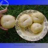 Rare Belyy Giant White Beefsteak Tomato Seeds, Professional Pack, 100 Seeds / Pack, Edible Tasty Fruits