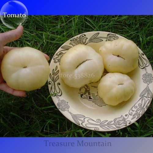 Rare Belyy Giant White Beefsteak Tomato Seeds, Professional Pack, 100 Seeds / Pack, Edible Tasty Fruits