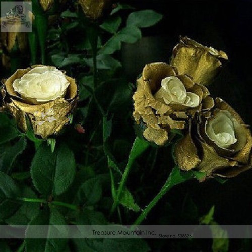 Rare Golden Rose Flower Shrub Seeds, Al Pack, 50 Seeds, Perennial Garden Plantings