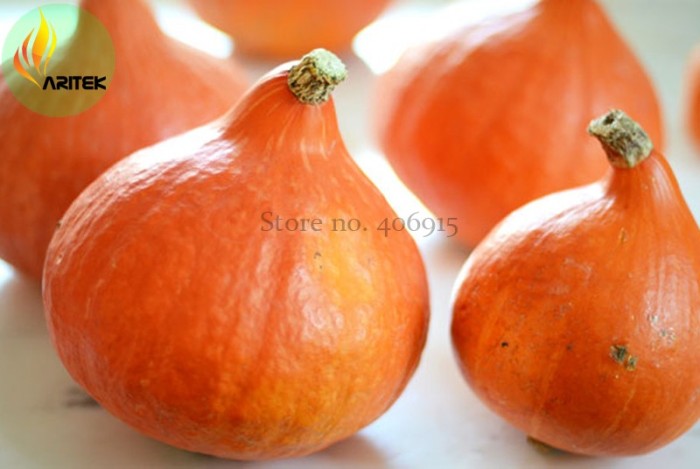 US$ 0.91 - Red Kuri Winter Squash Seeds, Professional Pack, 10 Seeds ...