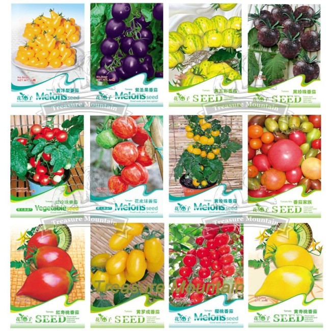 12 Original Packs, Approx 30 seeds / pack, Cherokee Purple Black Red Yellow Green Cherry Peach Pear Tomato Non-GMO Organic Food