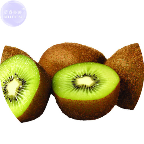 BELLFARM Bonsai Kiwi Fruit Seeds, 100 Seeds, Easy to grow sweet juicy fruit plant E4169