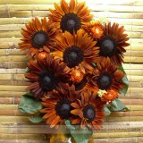 Terracotta Sunflower Seeds, Professional Pack, 15 Seeds / Pack, Stunning Colors Pollen Free Lovely Cut Flowers #NF993