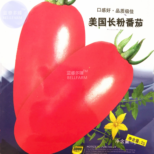 BELLFARM Tomato American Imported Long Pink Fruit Vegetable Seeds, 300 seeds, original pack, great tasty sweet juicy