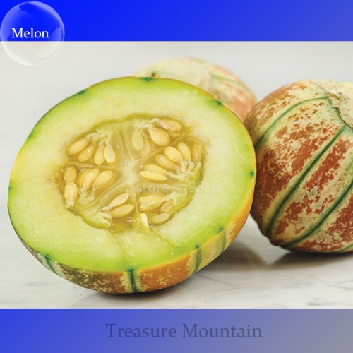 Rare Kajari Sweet  Melon Fruit, 10 Seeds, 13% sugar contained melon colorful skin fruit TS237T