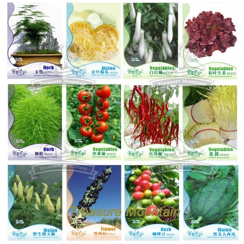 12 Original Packs Seeds, Asparagus Fern GOLDEN STRING PUMPKIN Long White Eggplants Tomato Goji Berry Coffee Watermelon Pepper