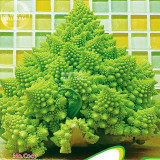 BELLFARM Chinese Broccoli Green Purple White Cauliflower Bonsai Vegetables, 20pcs 'Seeds'/original pack Brokkoli Home Garden