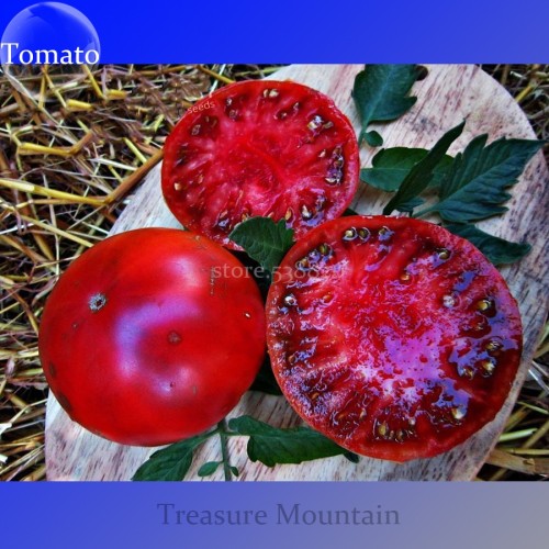 Rare Cherokee Golden Big (Dark Brandy, korol sibiri, German bi-color, RU taosiy) Tomato Seeds, 100 Seeds / Pack, Edible