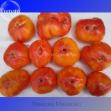 Rare Cherokee Golden Big (Dark Brandy, korol sibiri, German bi-color, RU taosiy) Tomato Seeds, 100 Seeds / Pack, Edible