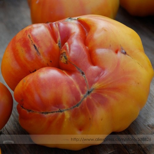 'Old German'  Rare Organic Heirloom Tomato Seeds, Professional Pack, 100 Seeds / Pack, Lycopersicon Esculentum Tasty #NF957