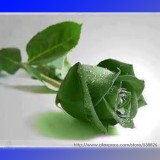 Yunnan Dark Green Rose Seedling Perennial Flower Seeds, Professional Pack, 20 Seeds / Pack, Strong Fragrant Flower #NF901