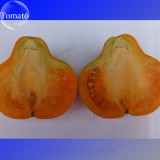 Imported Rare Lamp-shaped Russian Heirloom Big Orange Tomato Organic Seeds, Al Pack, 100 Seeds+