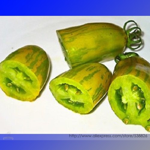 Sausage Green Tomato Organic Seeds, Professional Pack, 100 Seeds / Pack, Rare Heirloom Plant-Quite Unique Fruit Tasty #NF876