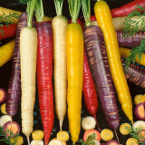1 Professional Pack, 2000 seeds / pack, Mix Carrot Seeds, Six Varieties Fresh Heirloom Organic Vegetable Seeds #NF233