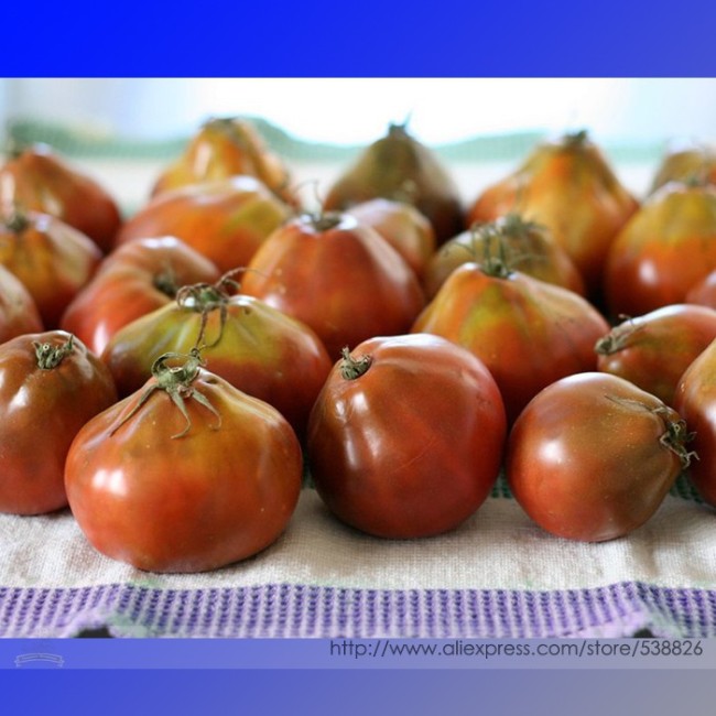 Rare Heirloom Japonskij Black Truffle Tomato Organic Seeds, Professional Pack, 100 Seeds / Pack, Lycopersicon Esculentum #NF960
